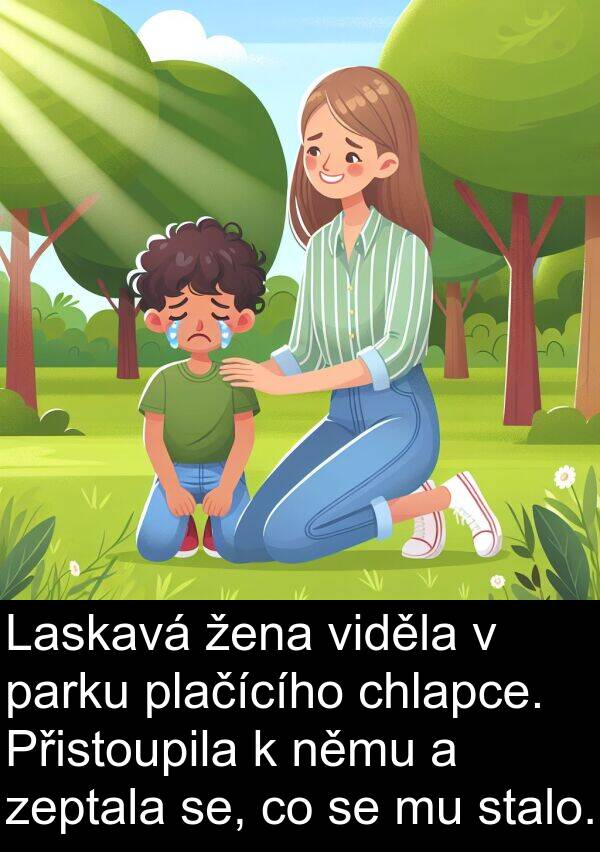 se: Laskavá žena viděla v parku plačícího chlapce. Přistoupila k němu a zeptala se, co se mu stalo.