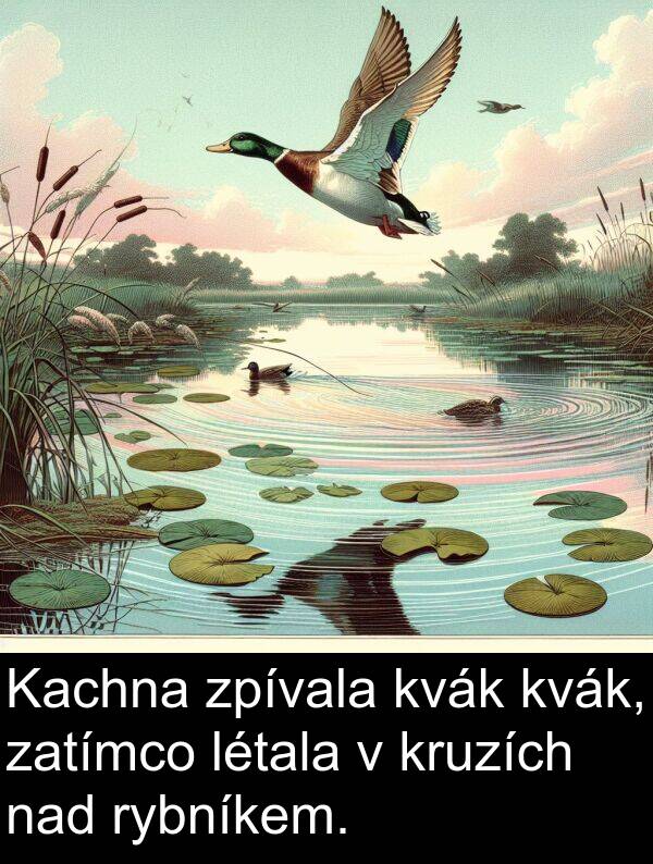 nad: Kachna zpívala kvák kvák, zatímco létala v kruzích nad rybníkem.