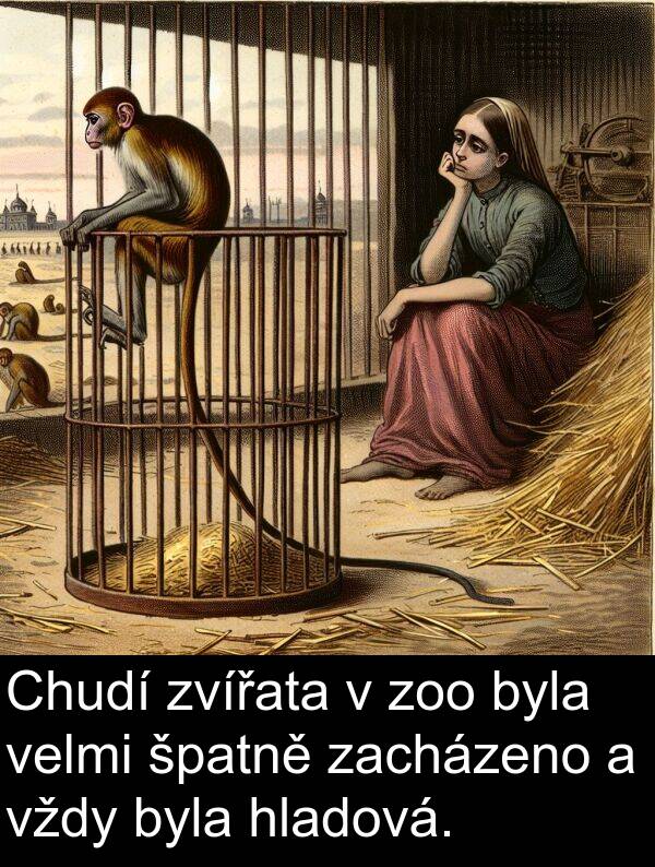 hladová: Chudí zvířata v zoo byla velmi špatně zacházeno a vždy byla hladová.