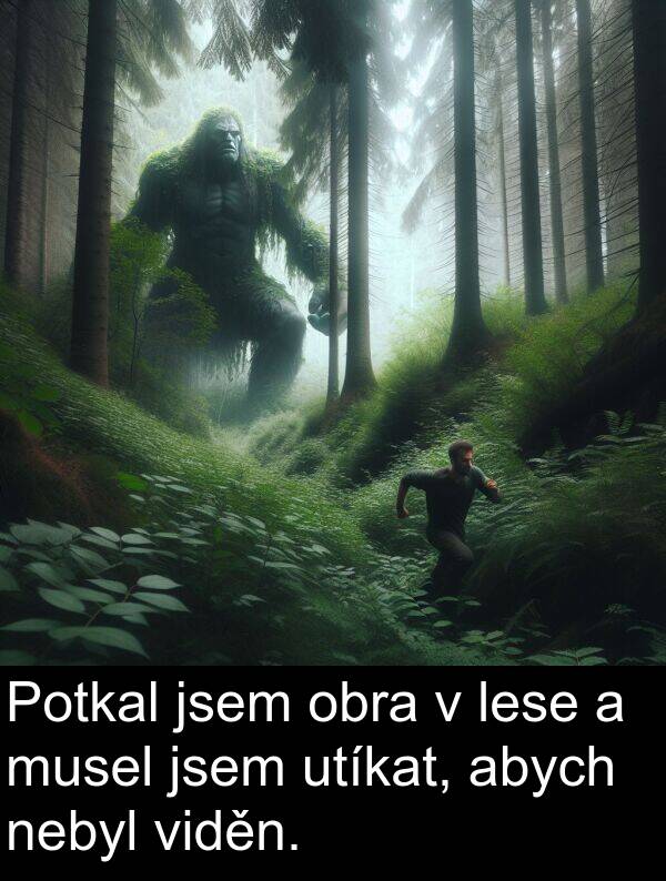 abych: Potkal jsem obra v lese a musel jsem utíkat, abych nebyl viděn.