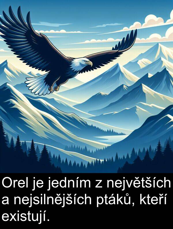 existují: Orel je jedním z největších a nejsilnějších ptáků, kteří existují.