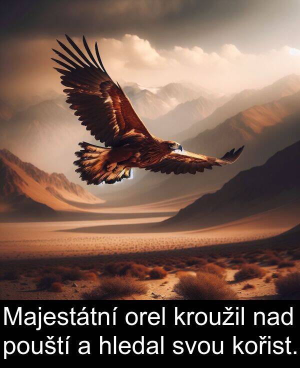 nad: Majestátní orel kroužil nad pouští a hledal svou kořist.