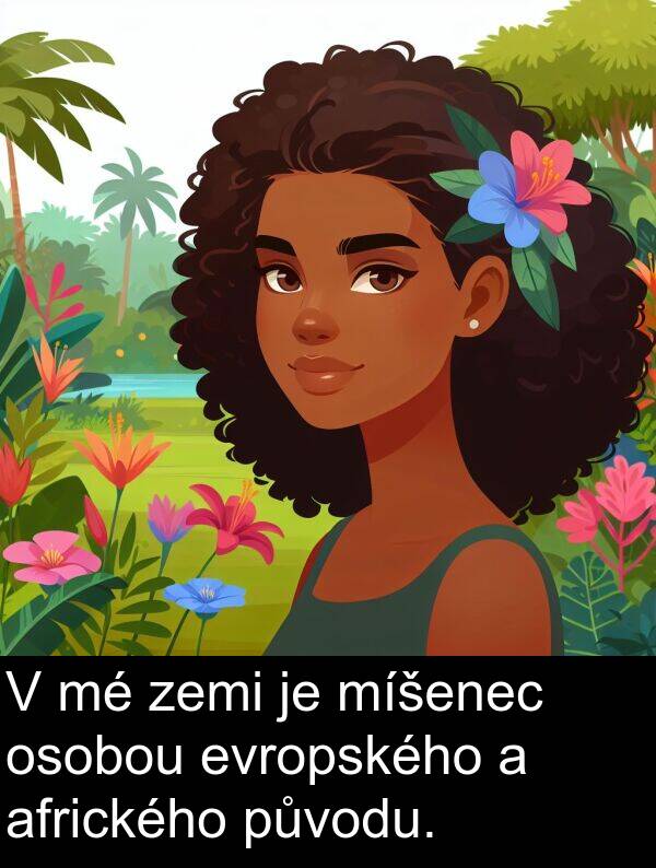 afrického: V mé zemi je míšenec osobou evropského a afrického původu.