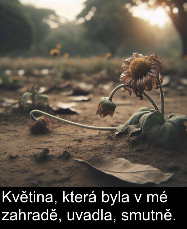 zahradě: Květina, která byla v mé zahradě, uvadla, smutně.
