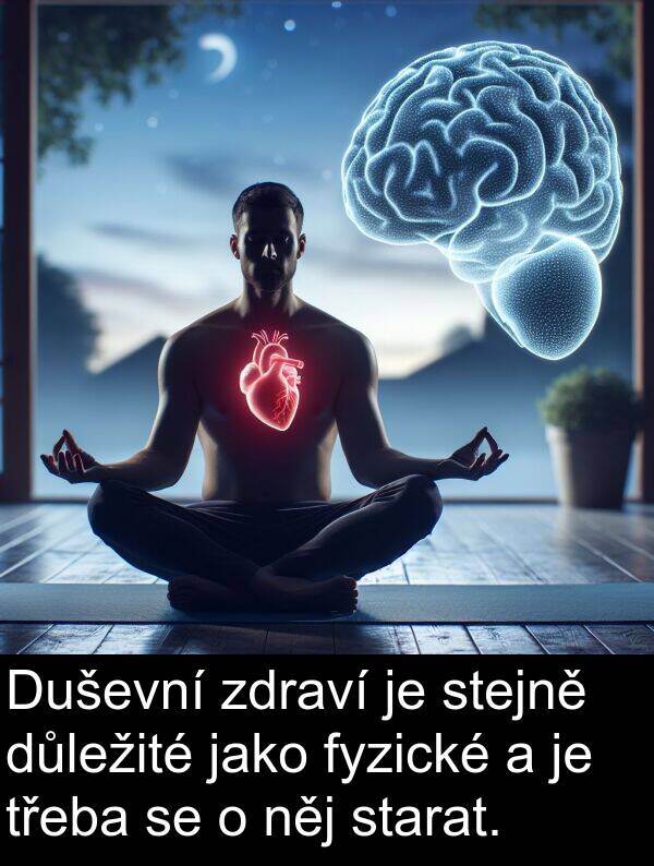 zdraví: Duševní zdraví je stejně důležité jako fyzické a je třeba se o něj starat.