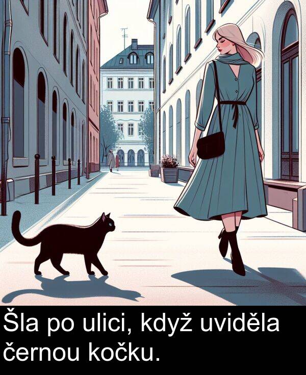 černou: Šla po ulici, když uviděla černou kočku.
