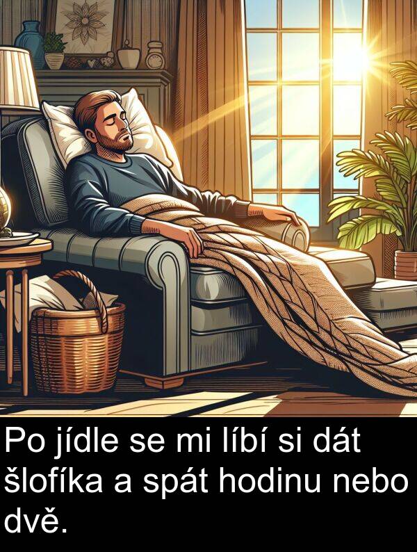 dát: Po jídle se mi líbí si dát šlofíka a spát hodinu nebo dvě.