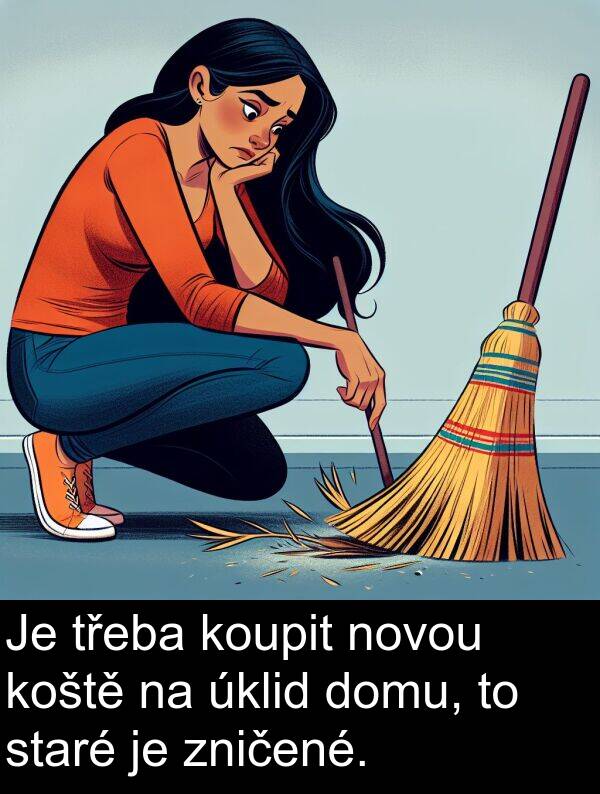 zničené: Je třeba koupit novou koště na úklid domu, to staré je zničené.