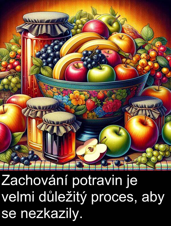potravin: Zachování potravin je velmi důležitý proces, aby se nezkazily.