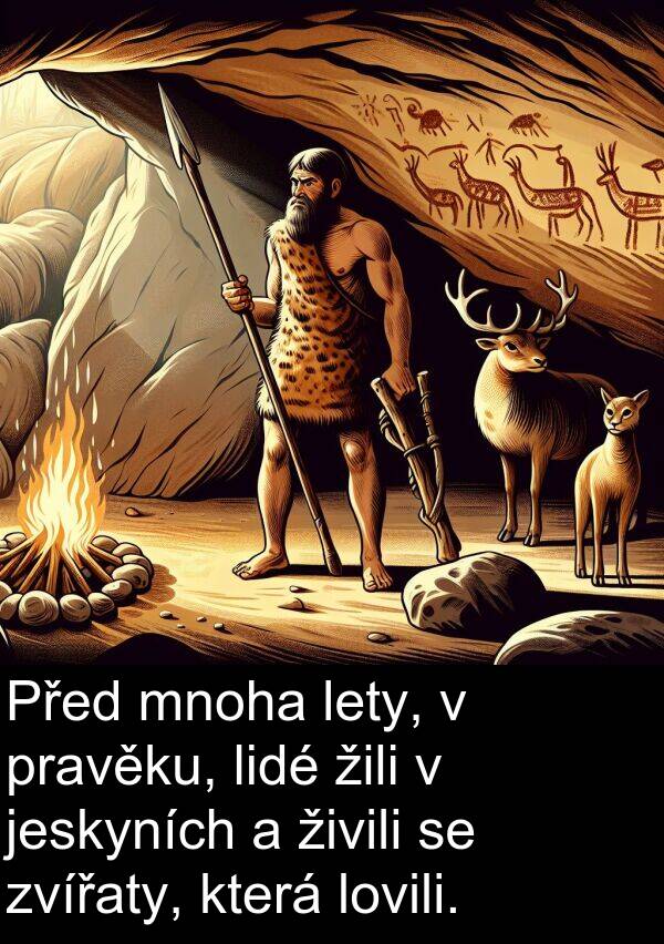 živili: Před mnoha lety, v pravěku, lidé žili v jeskyních a živili se zvířaty, která lovili.
