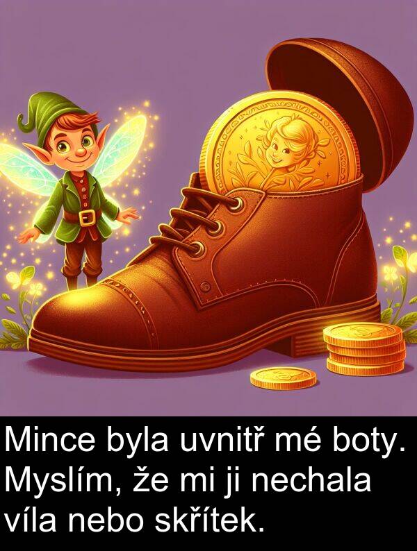 boty: Mince byla uvnitř mé boty. Myslím, že mi ji nechala víla nebo skřítek.
