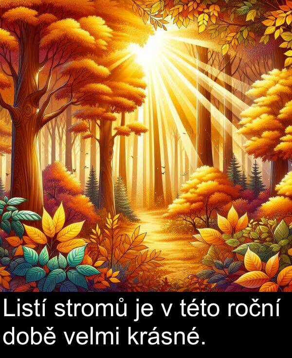 stromů: Listí stromů je v této roční době velmi krásné.