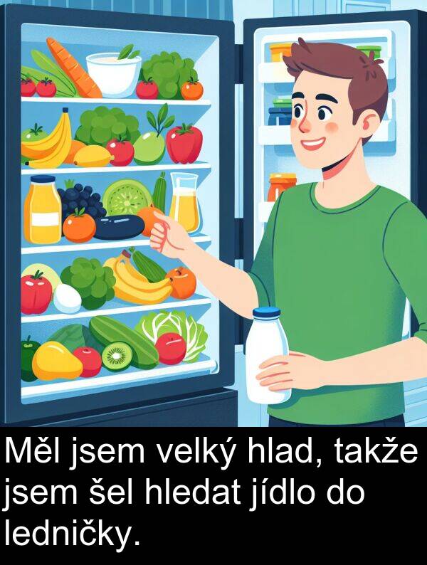 hlad: Měl jsem velký hlad, takže jsem šel hledat jídlo do ledničky.