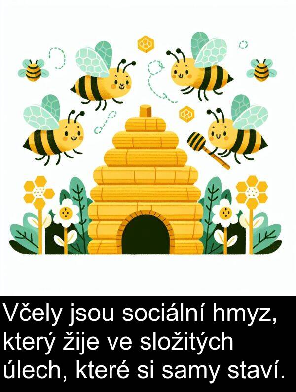 samy: Včely jsou sociální hmyz, který žije ve složitých úlech, které si samy staví.