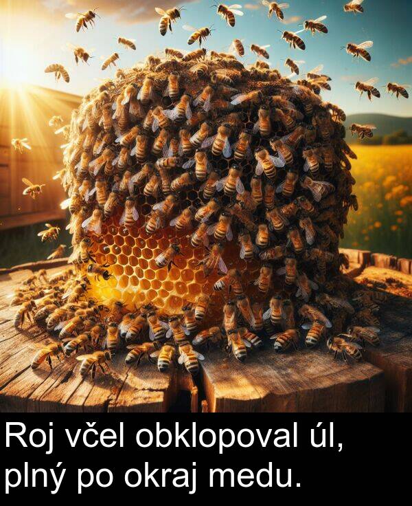 včel: Roj včel obklopoval úl, plný po okraj medu.