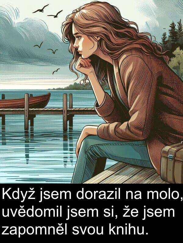 si: Když jsem dorazil na molo, uvědomil jsem si, že jsem zapomněl svou knihu.