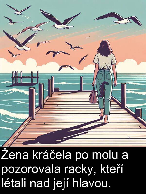 nad: Žena kráčela po molu a pozorovala racky, kteří létali nad její hlavou.