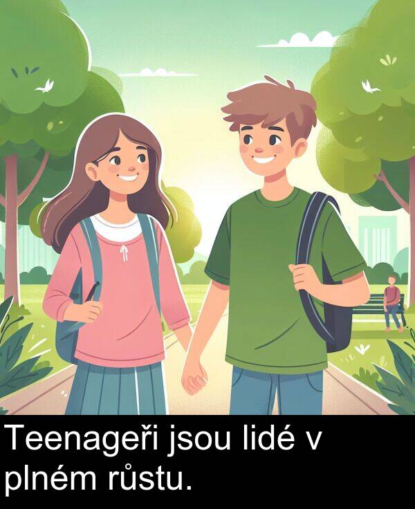 plném: Teenageři jsou lidé v plném růstu.