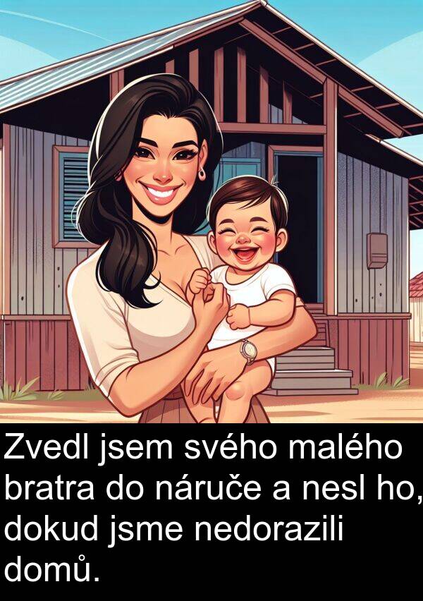 malého: Zvedl jsem svého malého bratra do náruče a nesl ho, dokud jsme nedorazili domů.