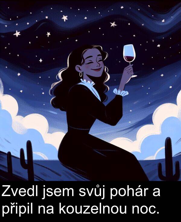 kouzelnou: Zvedl jsem svůj pohár a připil na kouzelnou noc.