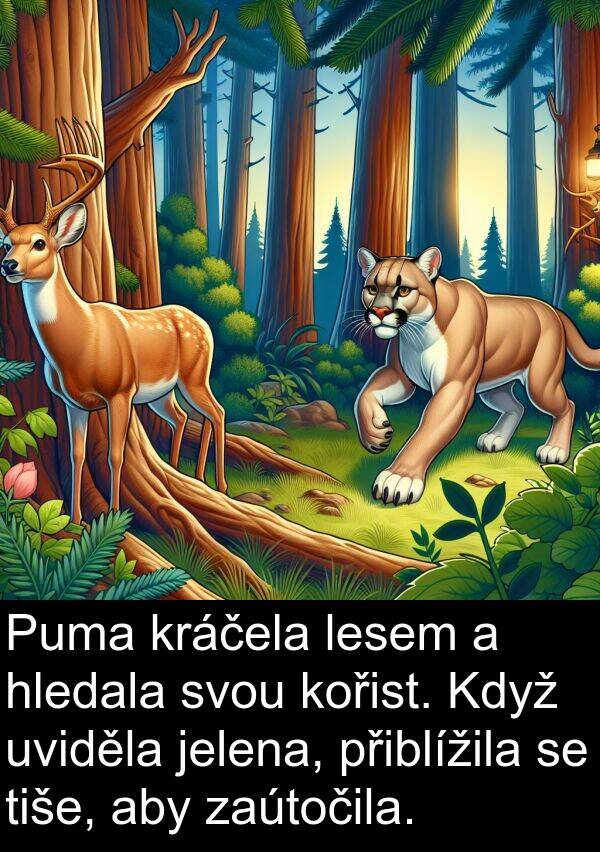 jelena: Puma kráčela lesem a hledala svou kořist. Když uviděla jelena, přiblížila se tiše, aby zaútočila.