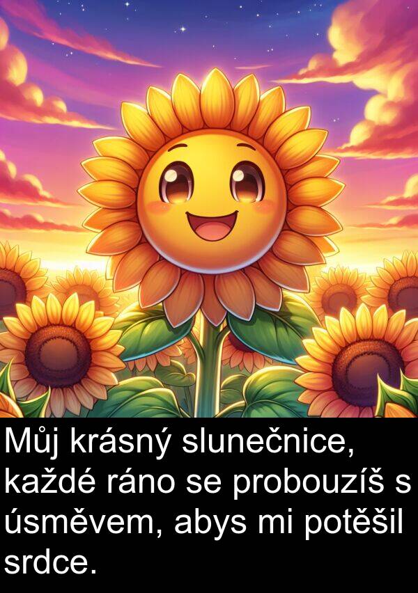 ráno: Můj krásný slunečnice, každé ráno se probouzíš s úsměvem, abys mi potěšil srdce.