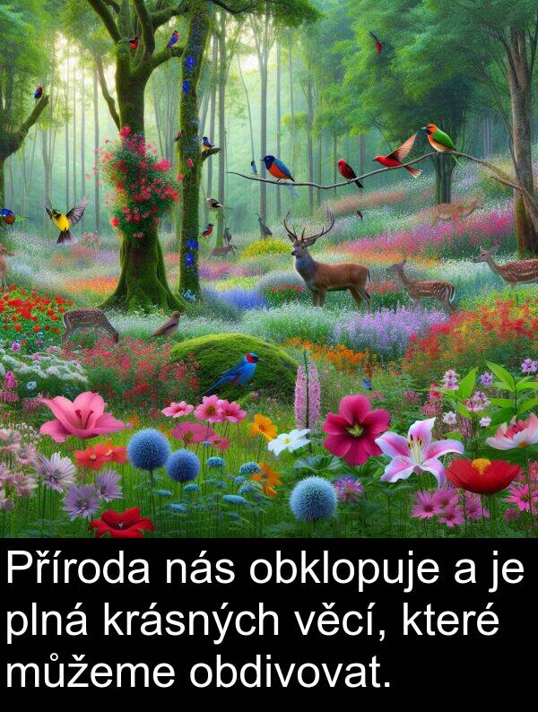 obdivovat: Příroda nás obklopuje a je plná krásných věcí, které můžeme obdivovat.
