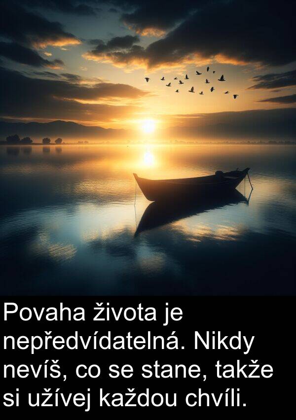 života: Povaha života je nepředvídatelná. Nikdy nevíš, co se stane, takže si užívej každou chvíli.
