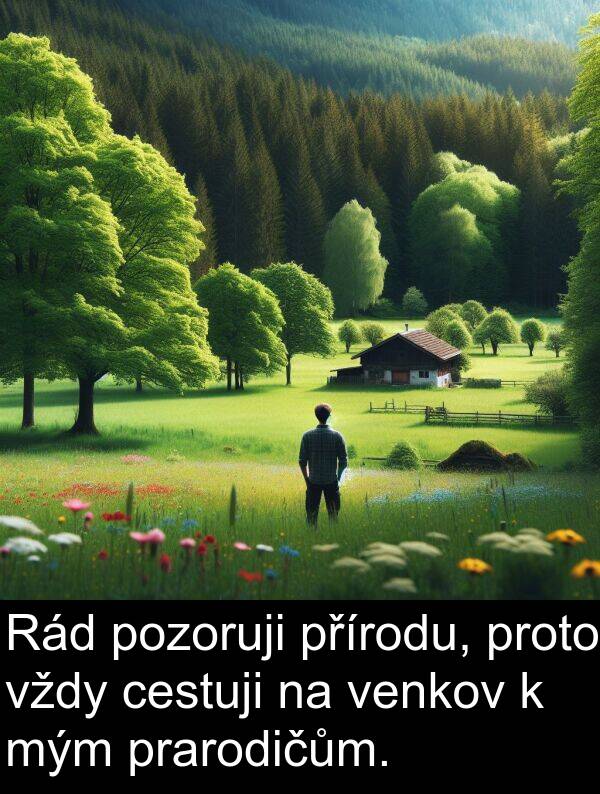 cestuji: Rád pozoruji přírodu, proto vždy cestuji na venkov k mým prarodičům.