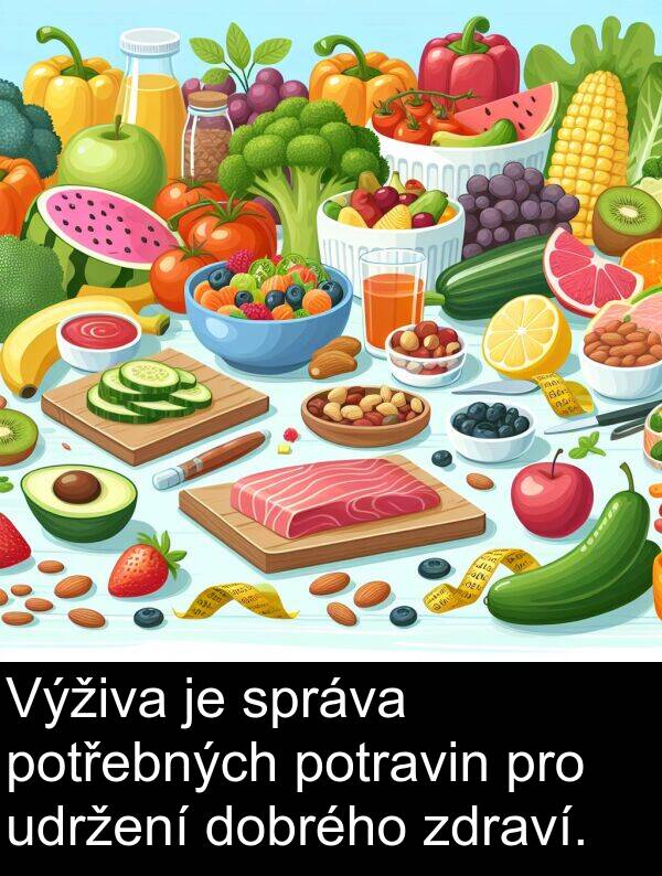 udržení: Výživa je správa potřebných potravin pro udržení dobrého zdraví.