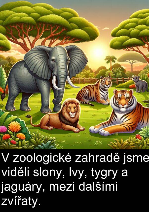 zahradě: V zoologické zahradě jsme viděli slony, lvy, tygry a jaguáry, mezi dalšími zvířaty.