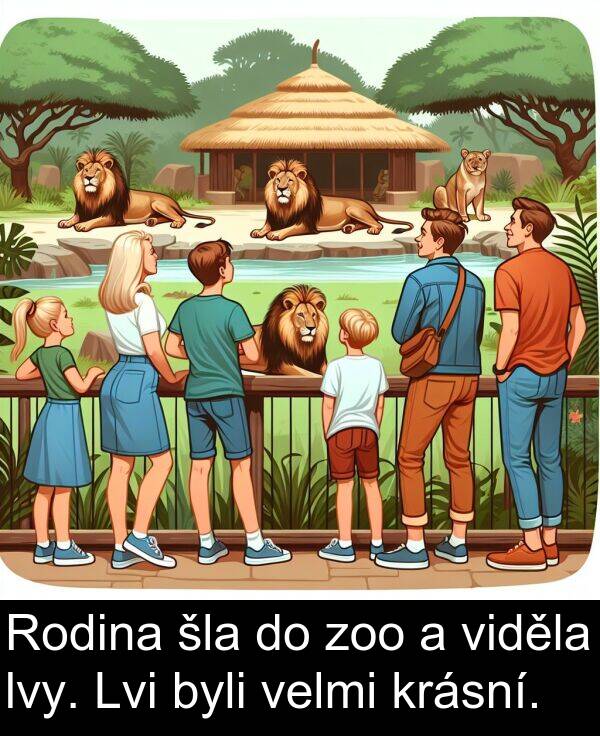 šla: Rodina šla do zoo a viděla lvy. Lvi byli velmi krásní.