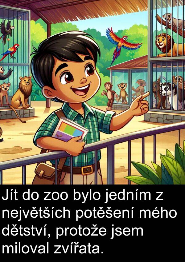 zoo: Jít do zoo bylo jedním z největších potěšení mého dětství, protože jsem miloval zvířata.