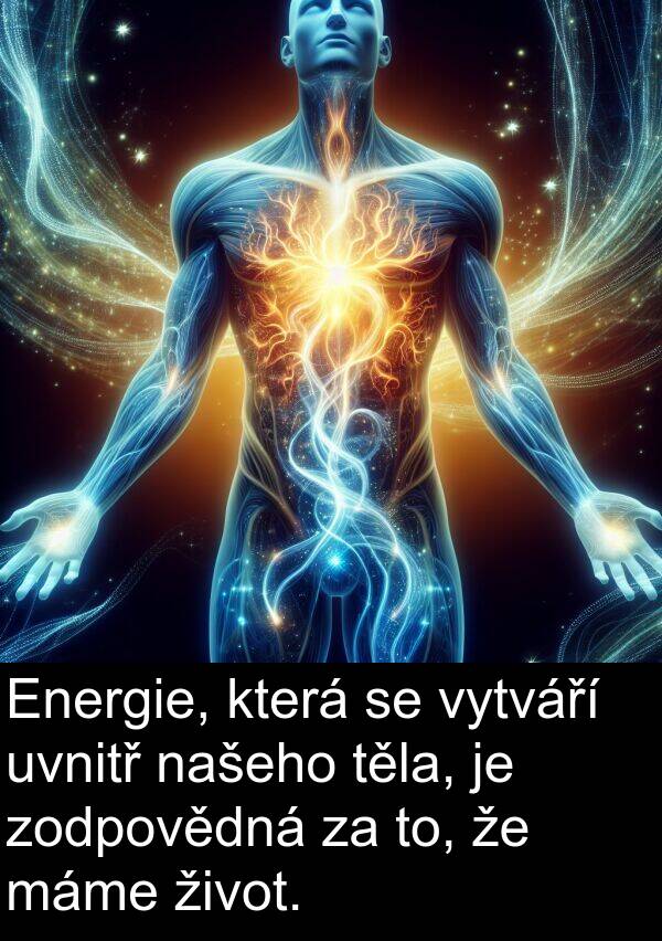 těla: Energie, která se vytváří uvnitř našeho těla, je zodpovědná za to, že máme život.