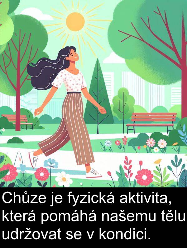 aktivita: Chůze je fyzická aktivita, která pomáhá našemu tělu udržovat se v kondici.