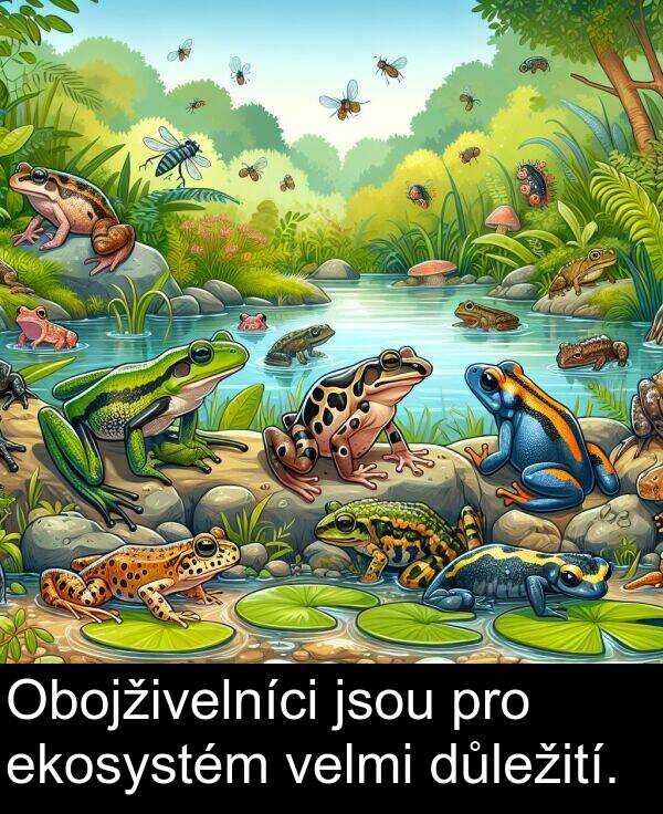 ekosystém: Obojživelníci jsou pro ekosystém velmi důležití.