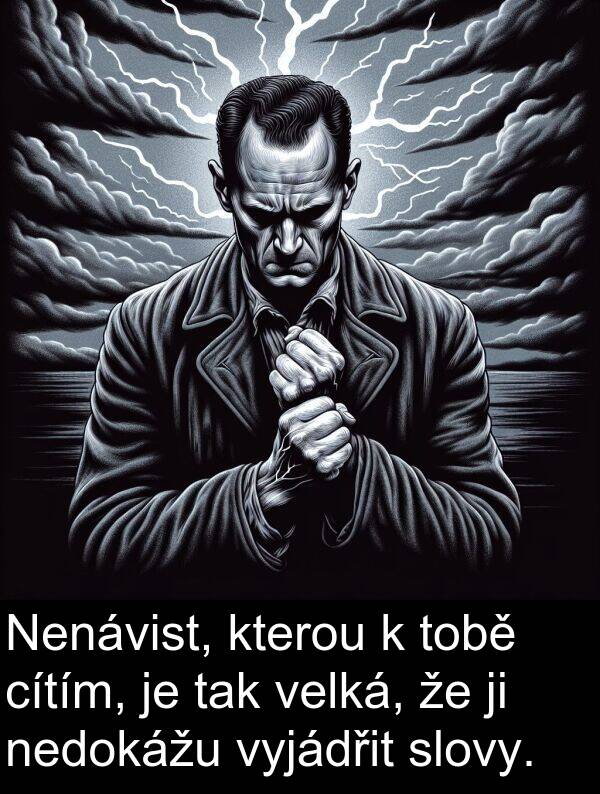 cítím: Nenávist, kterou k tobě cítím, je tak velká, že ji nedokážu vyjádřit slovy.
