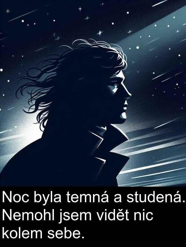 sebe: Noc byla temná a studená. Nemohl jsem vidět nic kolem sebe.