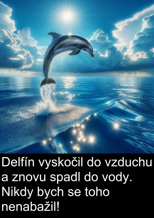 znovu: Delfín vyskočil do vzduchu a znovu spadl do vody. Nikdy bych se toho nenabažil!