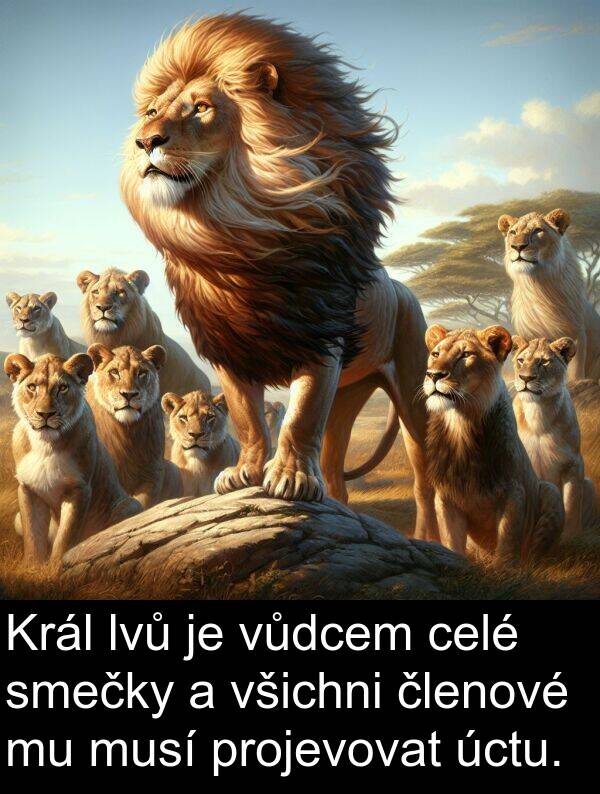 celé: Král lvů je vůdcem celé smečky a všichni členové mu musí projevovat úctu.