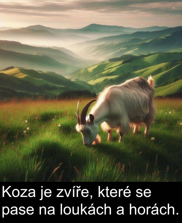 loukách: Koza je zvíře, které se pase na loukách a horách.
