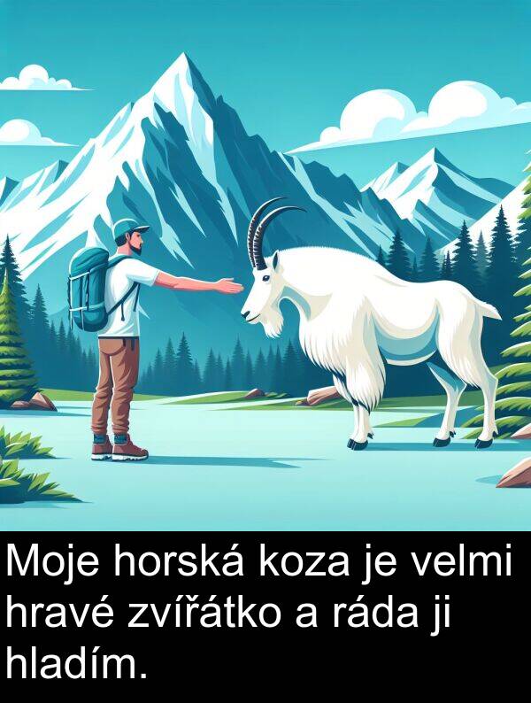 ráda: Moje horská koza je velmi hravé zvířátko a ráda ji hladím.