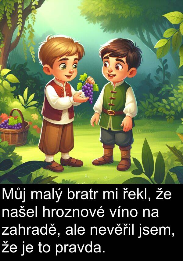 řekl: Můj malý bratr mi řekl, že našel hroznové víno na zahradě, ale nevěřil jsem, že je to pravda.