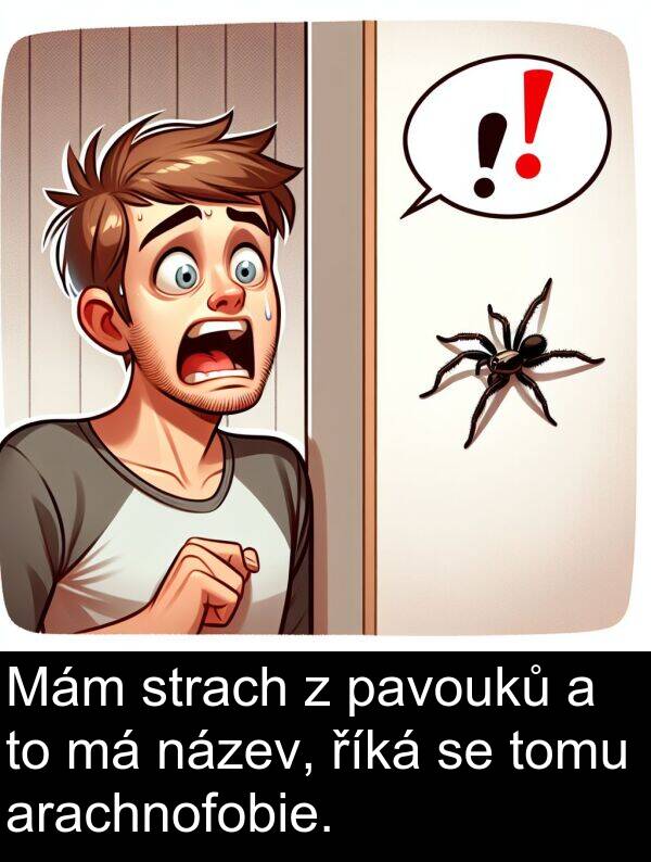 říká: Mám strach z pavouků a to má název, říká se tomu arachnofobie.