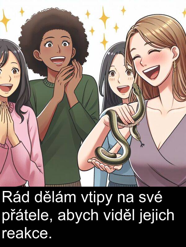 reakce: Rád dělám vtipy na své přátele, abych viděl jejich reakce.