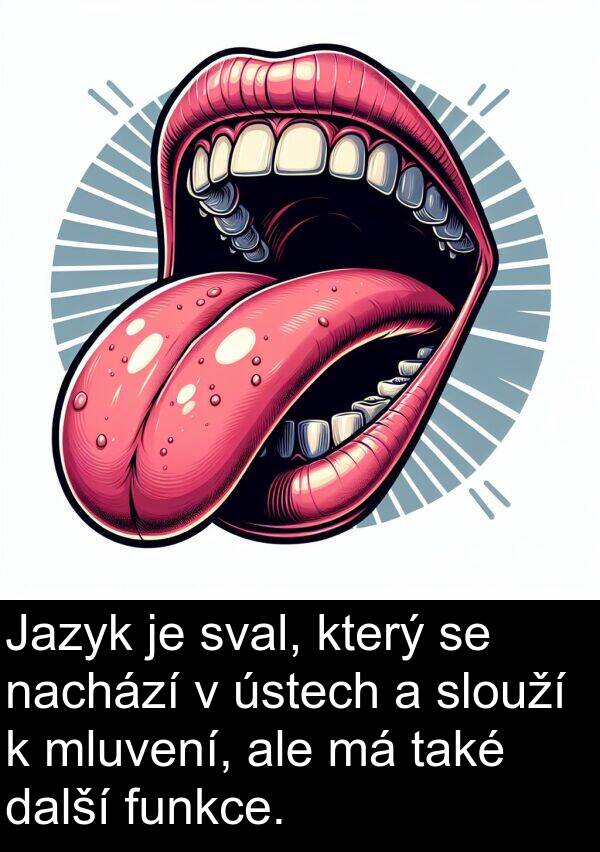 další: Jazyk je sval, který se nachází v ústech a slouží k mluvení, ale má také další funkce.