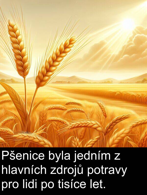 zdrojů: Pšenice byla jedním z hlavních zdrojů potravy pro lidi po tisíce let.