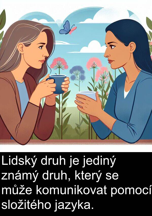 známý: Lidský druh je jediný známý druh, který se může komunikovat pomocí složitého jazyka.