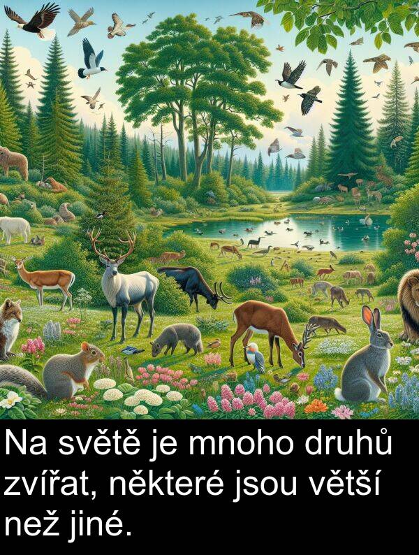 než: Na světě je mnoho druhů zvířat, některé jsou větší než jiné.