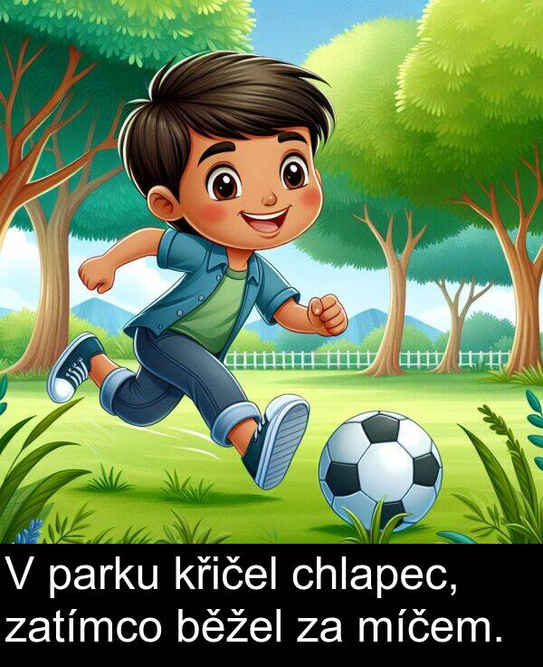 chlapec: V parku křičel chlapec, zatímco běžel za míčem.